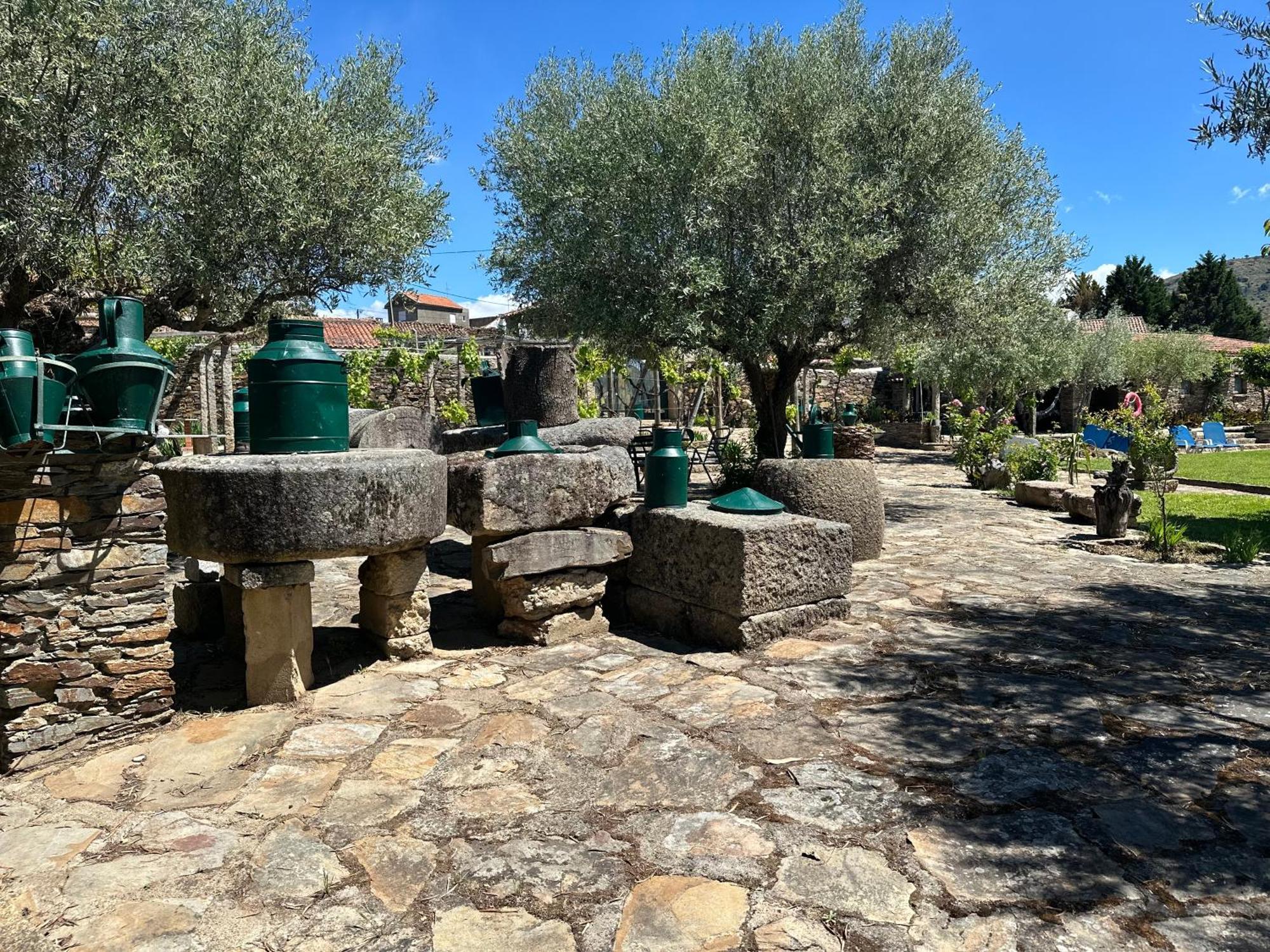 Frechas Casa Dos Araujos旅馆 外观 照片